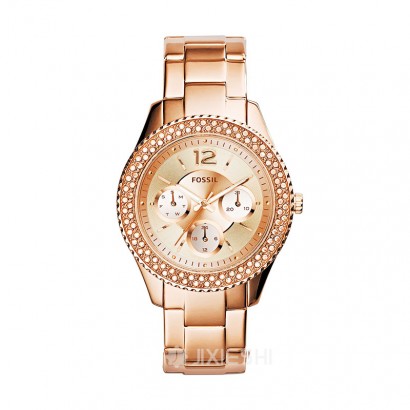 FOSSIL (gu)FOSSILŮʿʯӢES3590 Ȿԭ