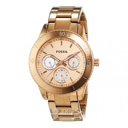 FOSSIL FOSSILŮʿʯӢES2859 Ȿԭ