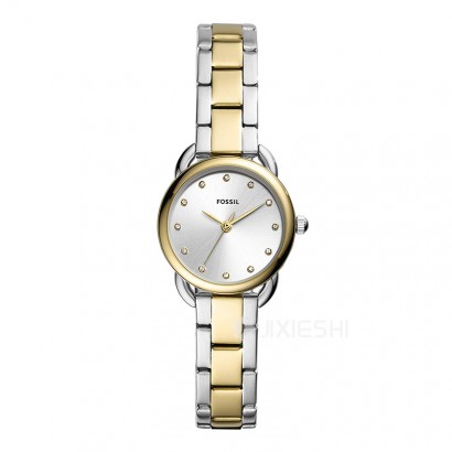 FOSSIL (gu)FOSSILŮʿʯӢES4498 Ȿԭ