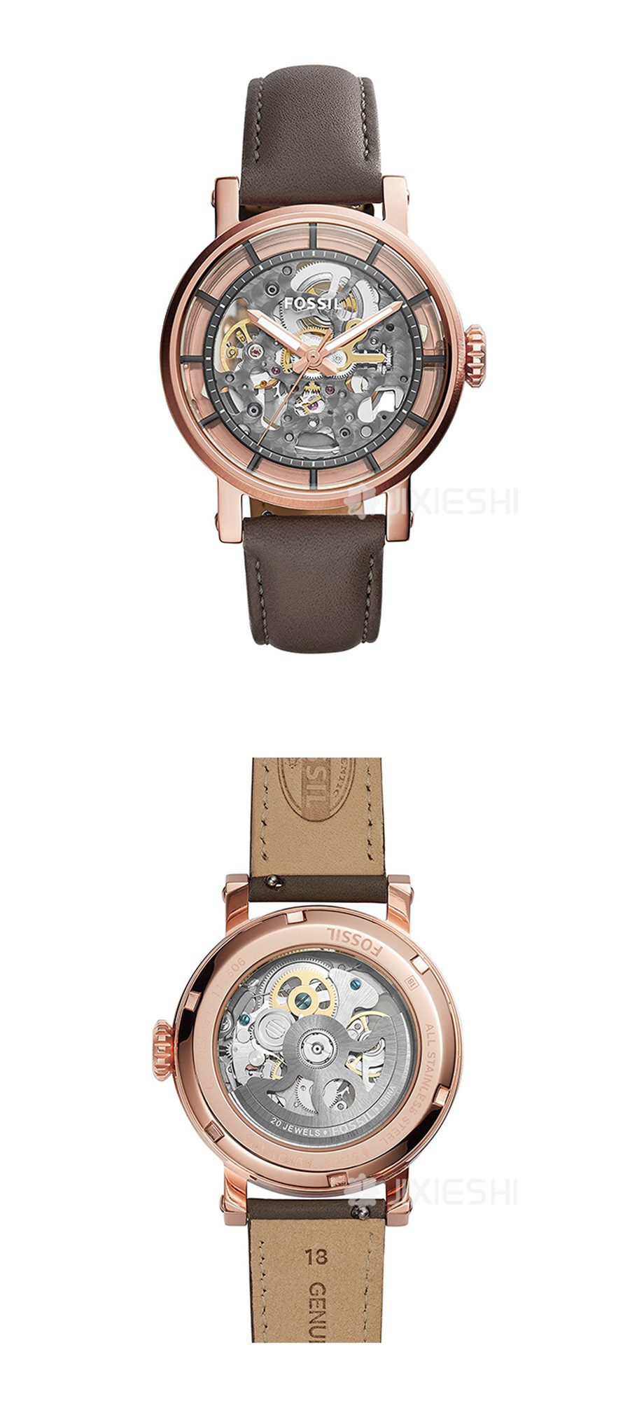 FOSSIL (gu)FOSSILŮʿֱME3089 Ȿԭ