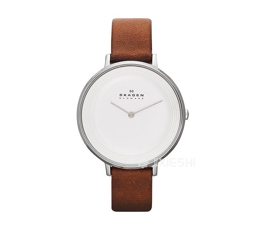 SKAGEN DENMARK ԊʯӢŮʿֱSKW2214 Ȿԭ