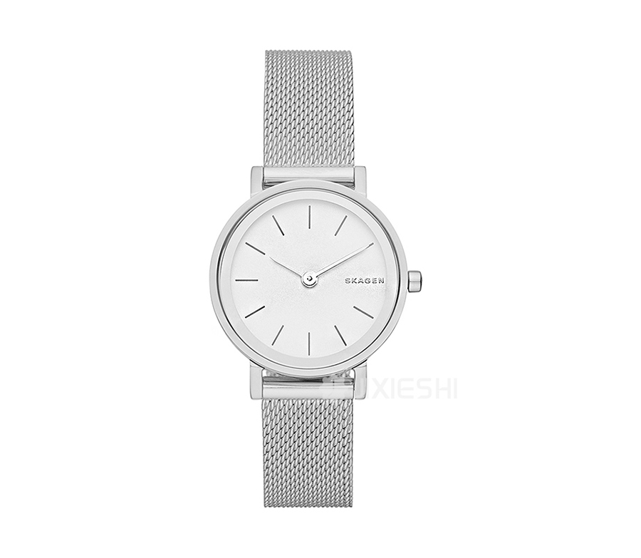 SKAGEN DENMARK ԊʯӢŮʿֱSKW2441 Ȿԭ